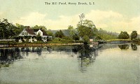 Stony Brook Mill Pond Island