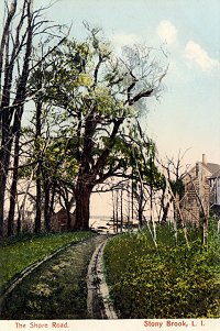 Shore Road, Stony Brook