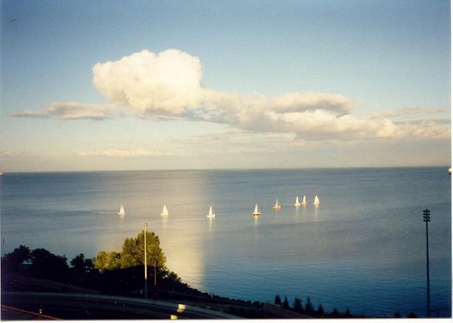 Click to see next picture