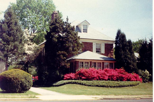 Click to see next picture