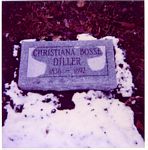 Click to see big picture (621x631 pixels; 81 KB)